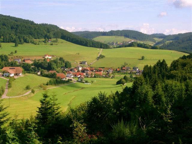 Готель Hirschen-Dorfmuehle Biederbach Екстер'єр фото