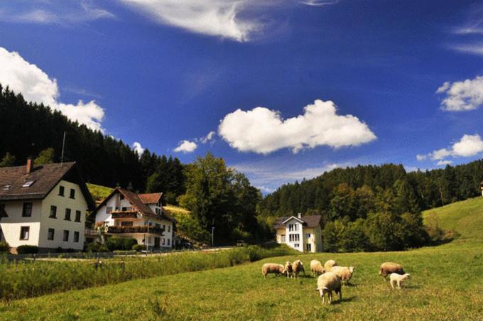 Готель Hirschen-Dorfmuehle Biederbach Екстер'єр фото